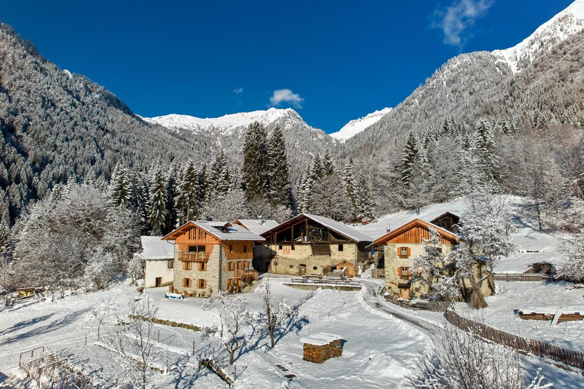 Pimont Alpine Chalet Мадона ди Кампильо Екстериор снимка